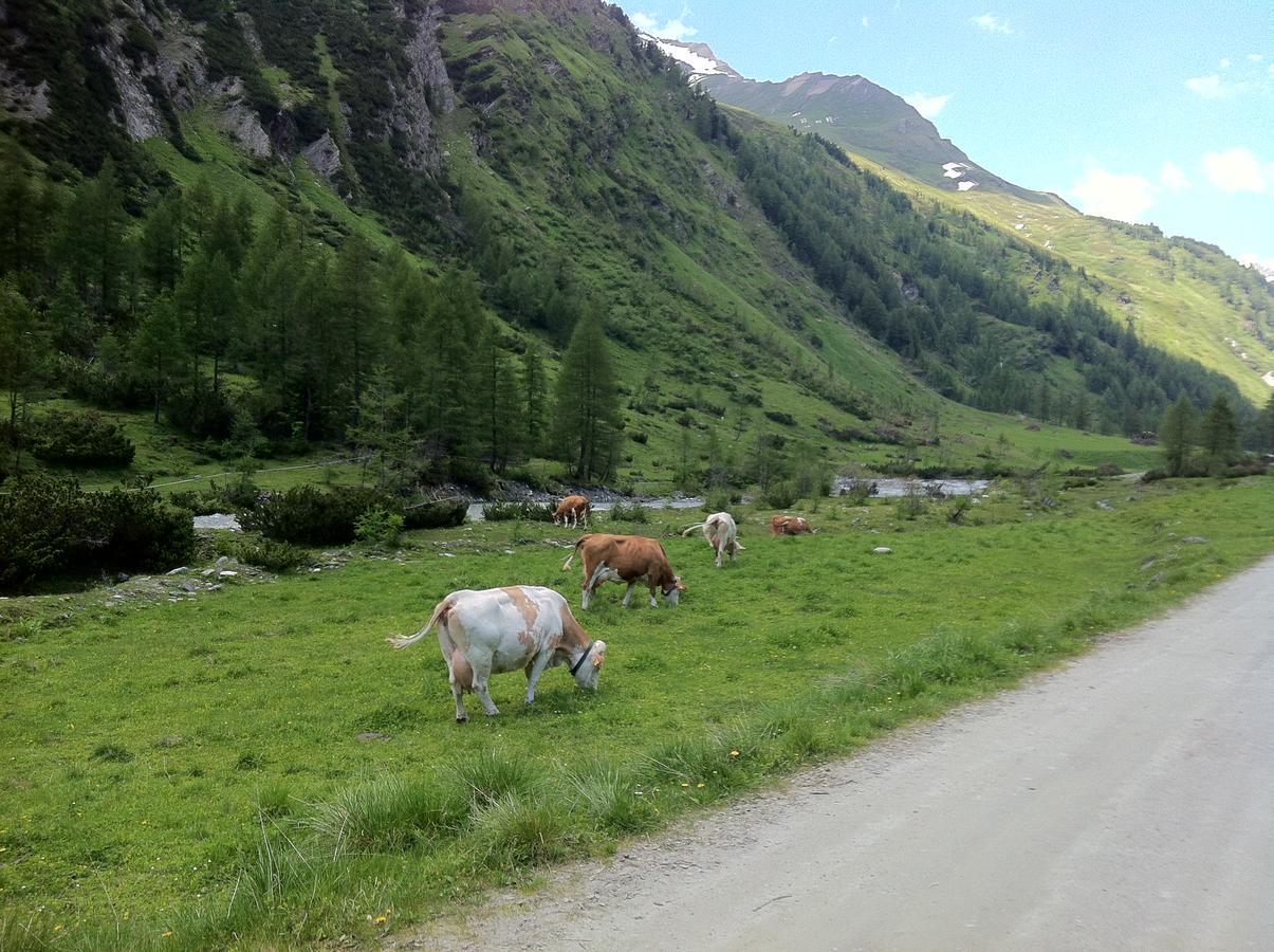 Scol Sporthotel Grossglockner Kals-am Großglockner المظهر الخارجي الصورة